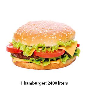 Hamburger
