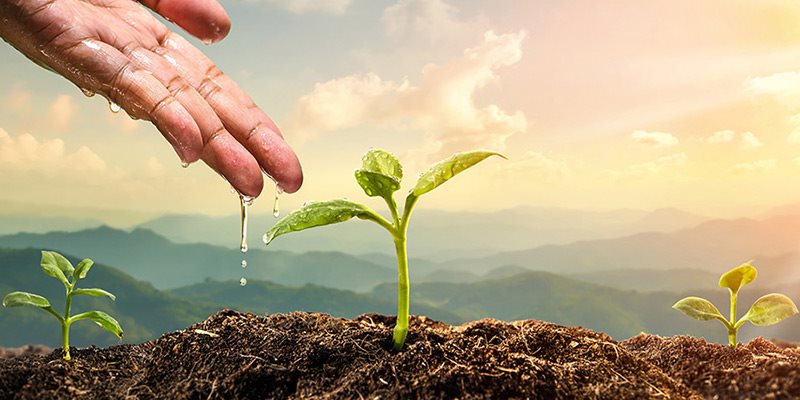 Tarımsal Su Verimliliği