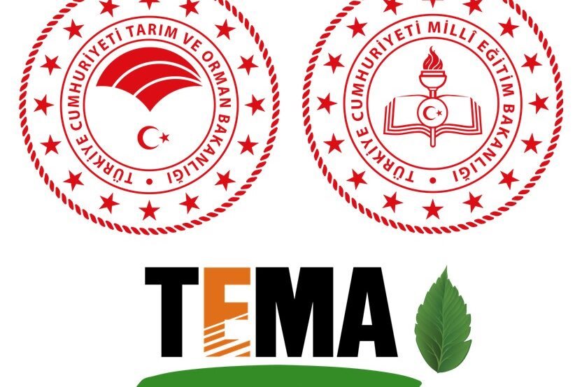 TEMA Logo