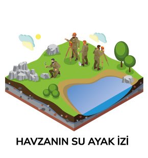 Havzanın Su Ayakizi
