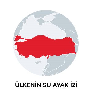 Ülkenin Su Ayakizi