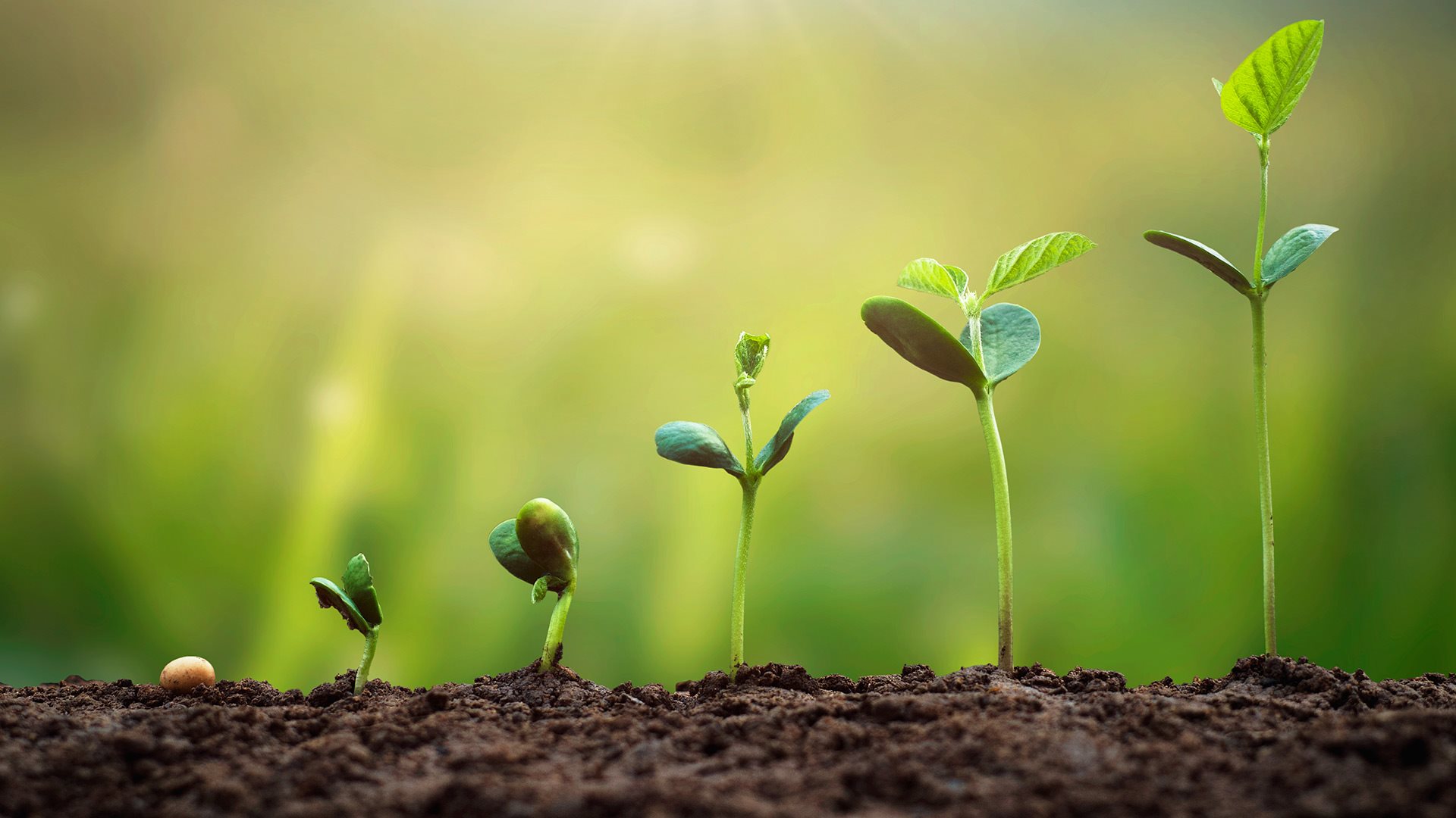 Su Verimliliği Görseli