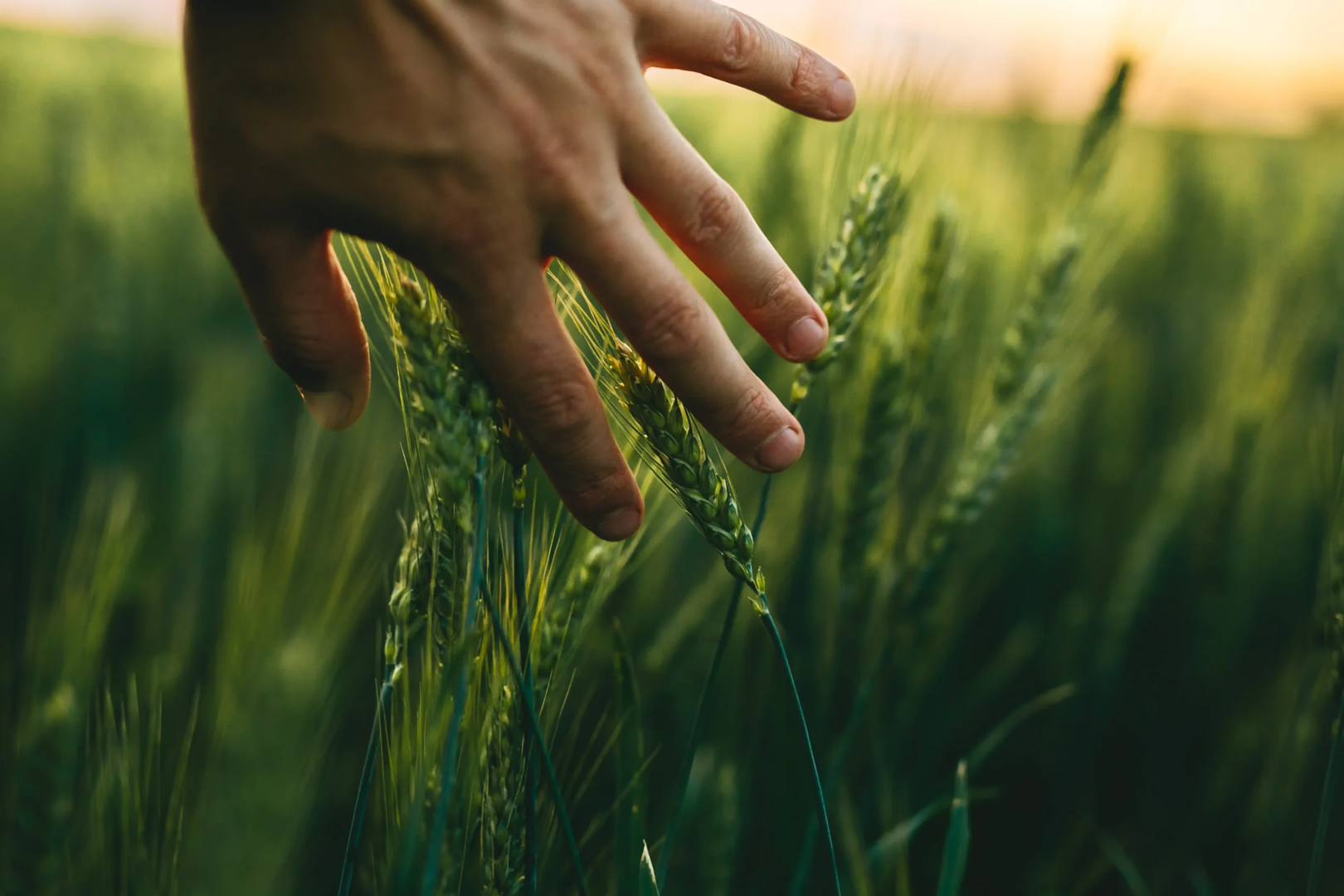 FARMERS Projesi
