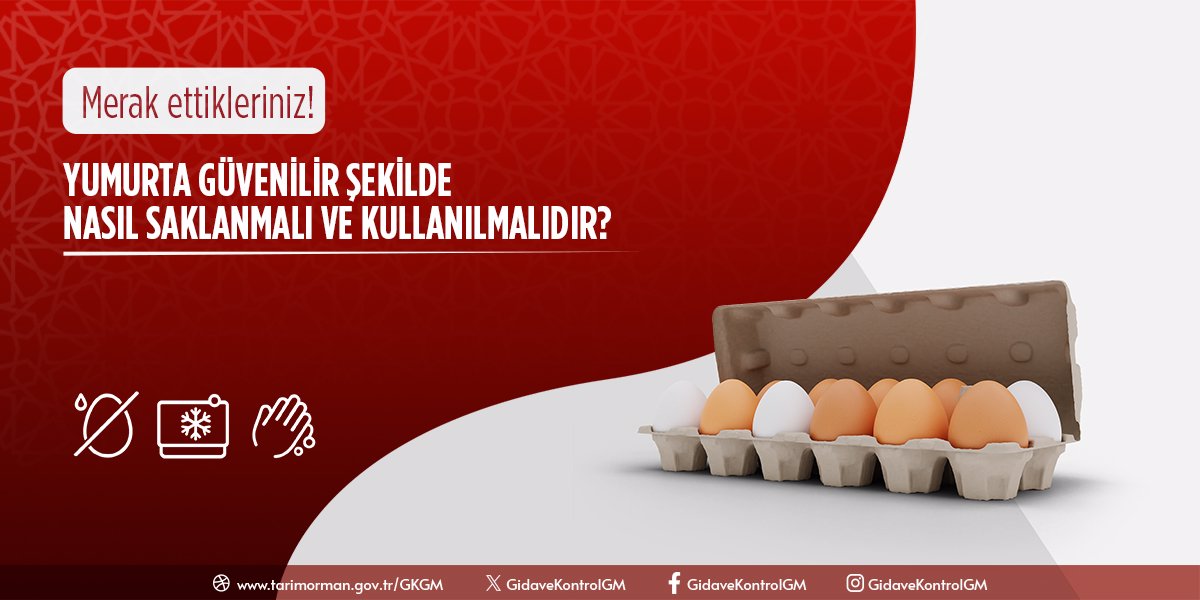 Yumurta Güvenilir Şekilde Nasıl Saklanmalı ve Kullanılmalıdır?