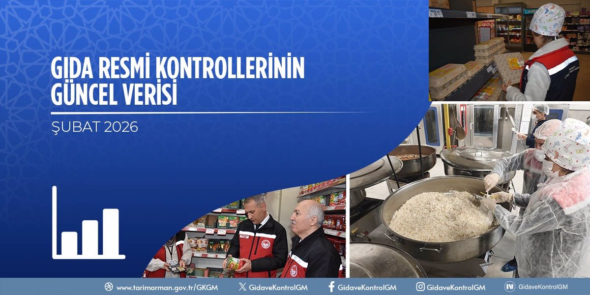 Gıda Resmi Kontrollerinin Güncel Verisi