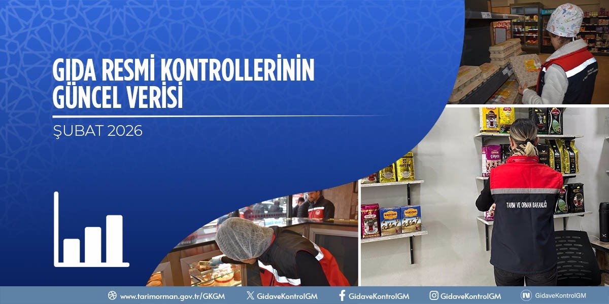 Gıda Resmi Kontrollerinin Güncel Verisi