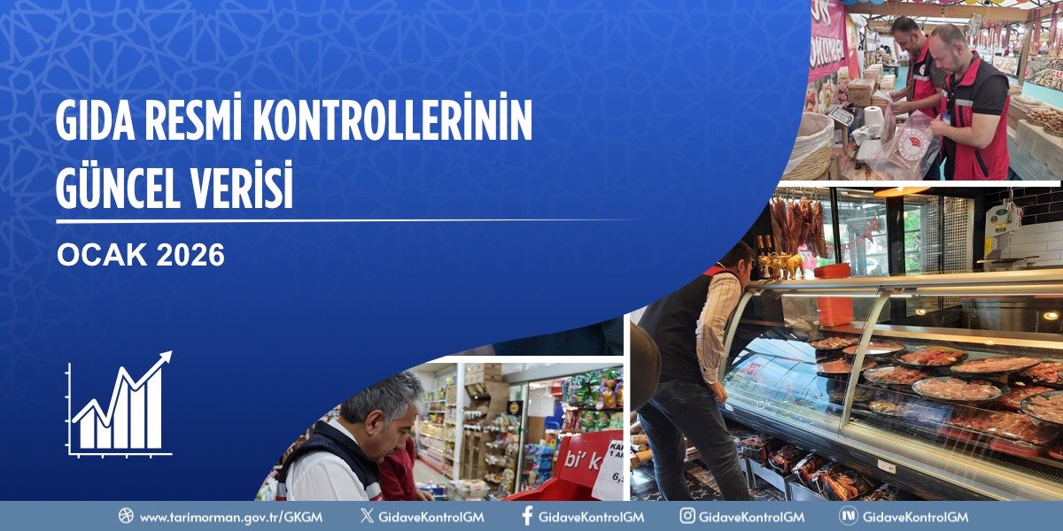 Gıda Resmi Kontrollerinin Güncel Verisi