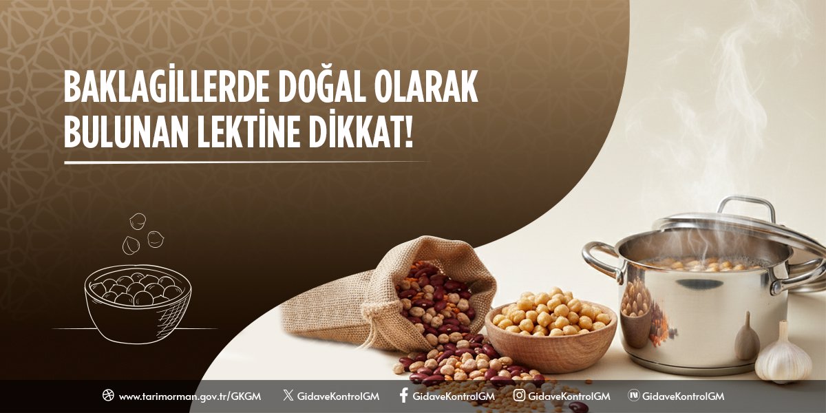 Baklagillerde Doğal Olarak Bulunan Lektine Dikkat!