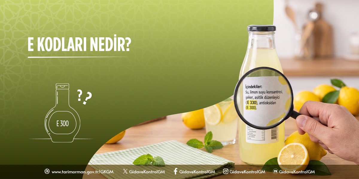 E Kodları Nedir?