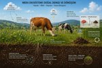 Mera İyileştirme Yatırımlarının İklim Faydalarının Ölçülmesi Toplantısı